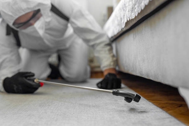 Professional Cockroach Control technician working in Preston, TX