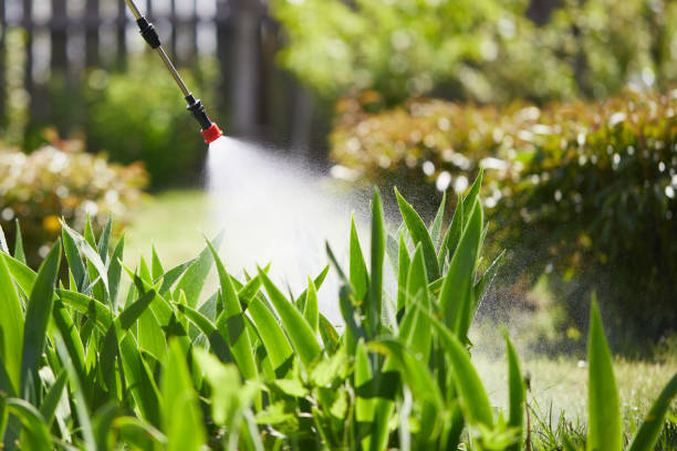 24/7 Emergency Cockroach Control experts in Preston, TX