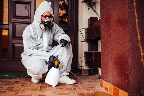 Reliable Cockroach Control contractor in Preston, TX by Nex Pest Control